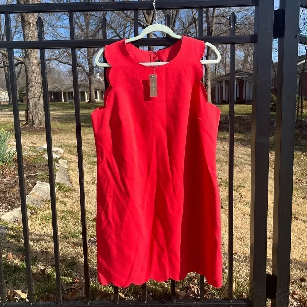 J Crew Scalloped Shift Dress NWT